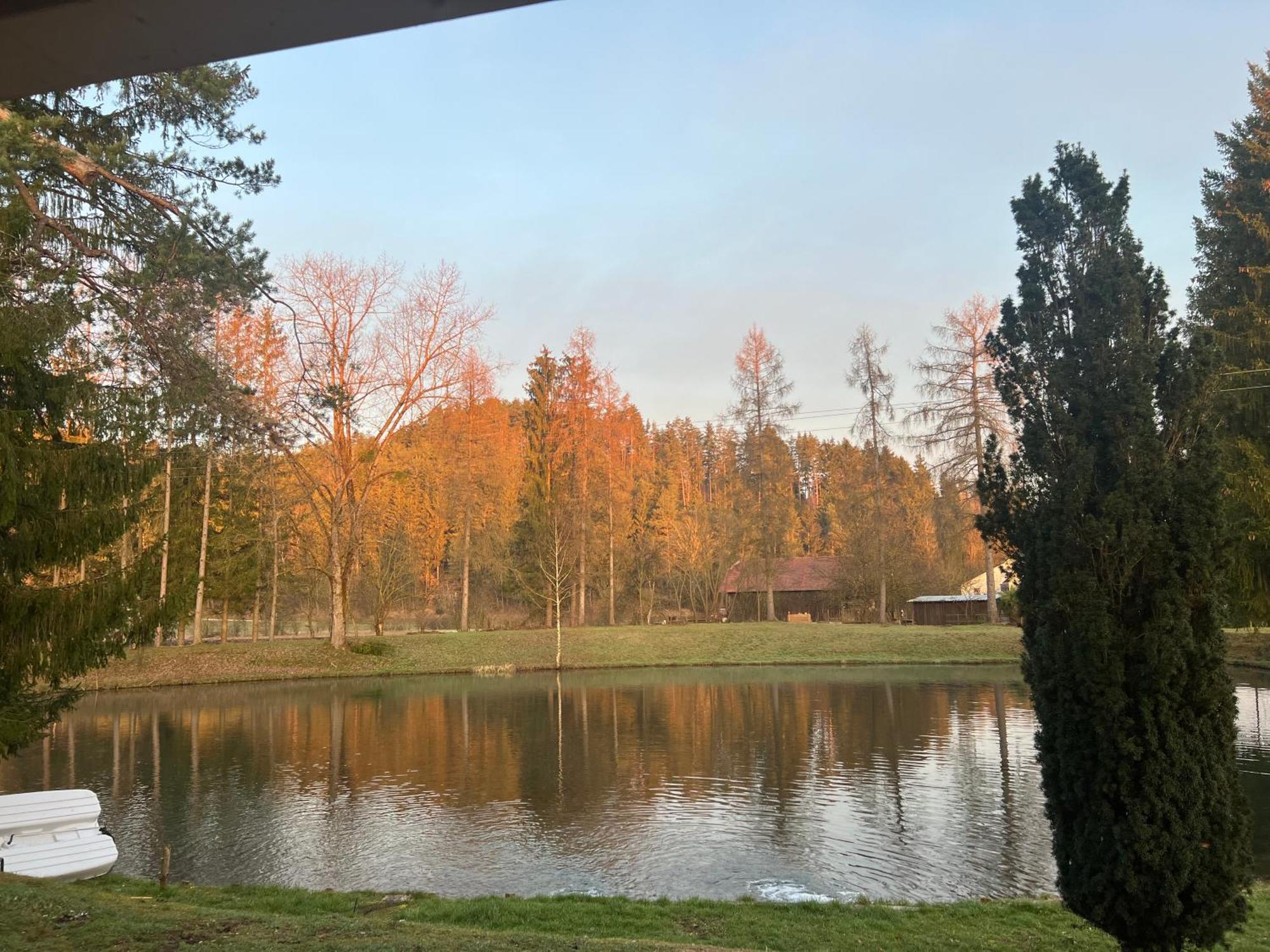 Feistritz ob Bleiburg Haus Am Fischteich 아파트 외부 사진