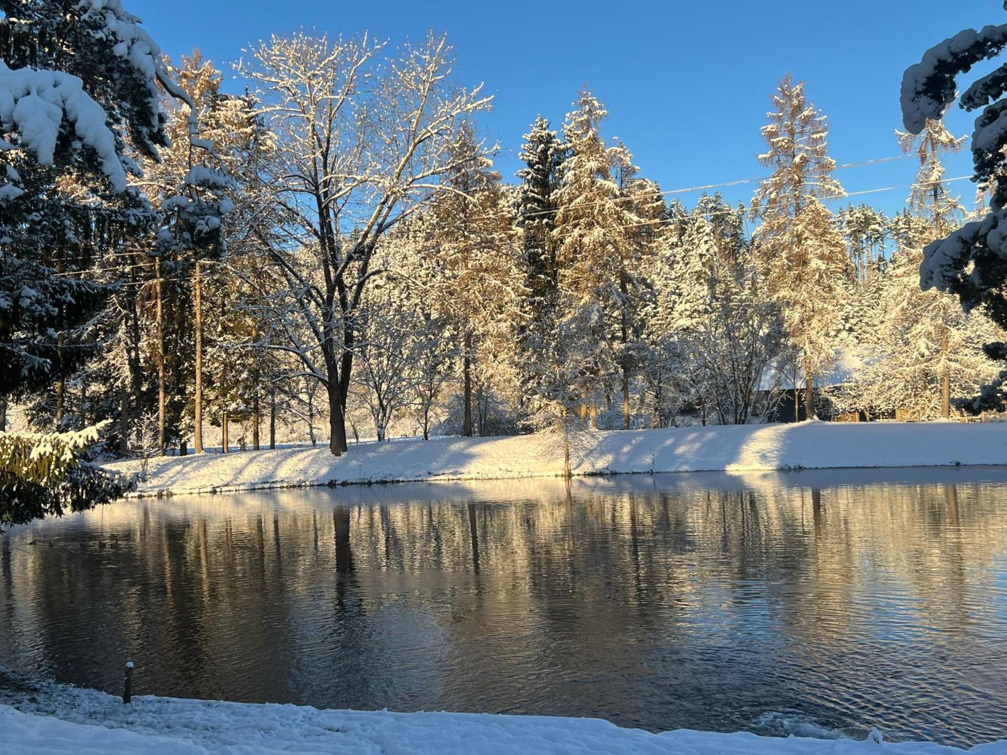 Feistritz ob Bleiburg Haus Am Fischteich 아파트 외부 사진